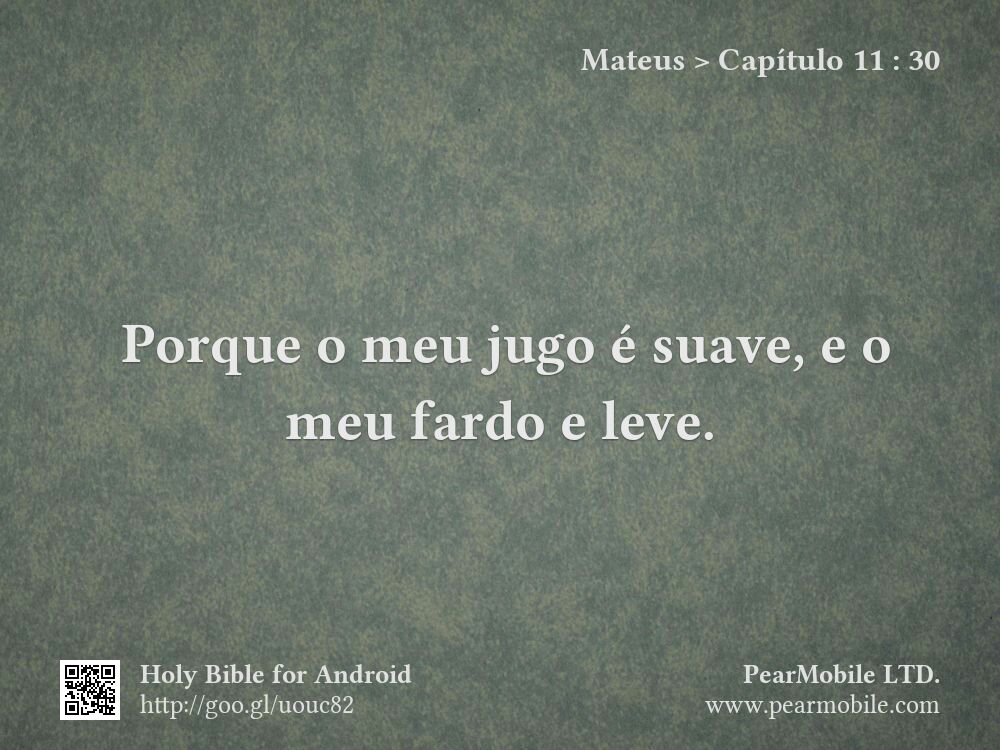Mateus, Capítulo 11:30